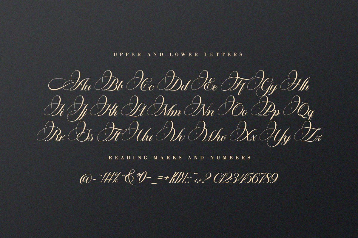Platinum script, a Script Font by Pista Mova (Photo 8 of 11)