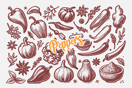 Hand Drawn Peppers and Herbs Coll, a Food Illustration by MkStudio