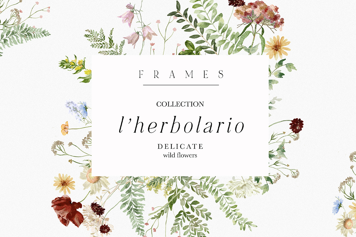 l'Herbolario - Wild Floral Graphics, an Illustration by studioequinox (Photo 6 of 14)