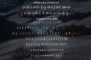Winterfarm | Script Font, a Handwritten Font by Scratchones (Thumbnail 7 of 9)
