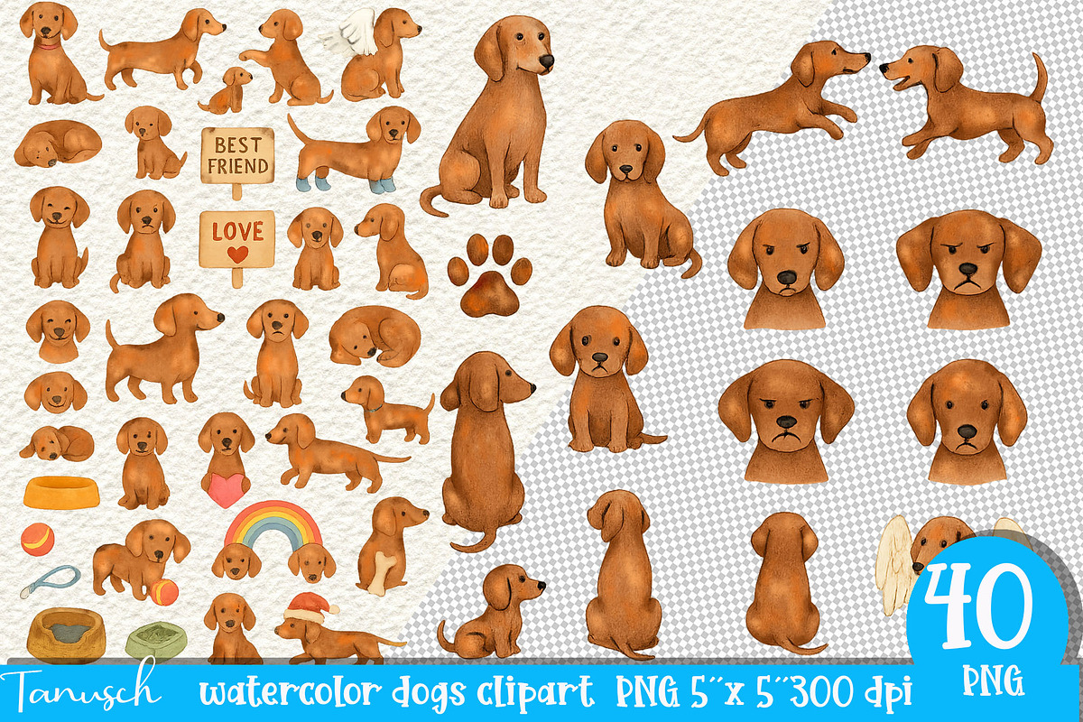 Watercolor Dog - Dachshund CLIPART, an Animal Illustration by TanuschArts (Photo 1 of 6)
