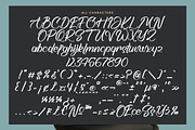 Backing, a Handwritten Font by operatype.co (Thumbnail 13 of 15)
