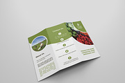 Agriculture Tri-fold Brochures, a Brochure Template by Creatricks