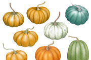 Autumn Pumpkin Watercolor Clipart, a Decorative Illustration by Watercolor Clipart (Thumbnail 3 of 4)