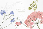 pressed floral watercolor collection, an Illustration by beehouse studio (Thumbnail 3 of 9)