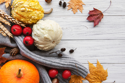 A rustic autumn still life with pumpkins, a Food & Drink Photo by Olena Rudo