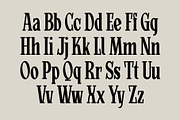Mortgage Condensed – Classic Font, a Serif Font by Nocturnal Workspace (Thumbnail 4 of 7)