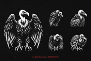 10 Bundle Dark Art Condor Bird, an Illustration by Morspective (Thumbnail 5 of 7)