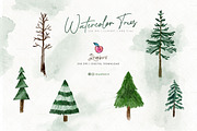 Pine Tree Clipart, Watercolor 109, an Illustration by Drawberx (Thumbnail 7 of 9)