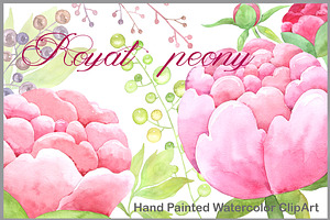 Warercolor Clipart Royal Peony Pink