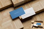 Business Card Mockup, an Advertising Mockup by Design Source_ (Thumbnail 1 of 3)