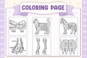 Veterinary Anatomy Coloring Book, an Education Illustration by HueNestify (Thumbnail 3 of 4)