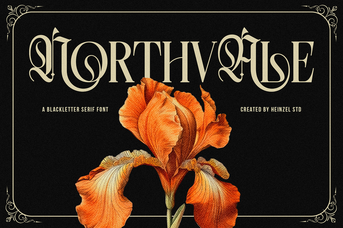 Northvale Blackletter Serif Font, a Blackletter Font by Heinzel Std (Photo 1 of 10)