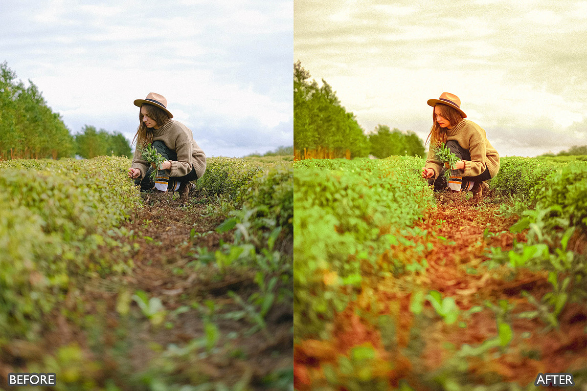 Steal Film Cinematic LR Presets, a Preset Add-On by AAA Presets (Photo 21 of 22)
