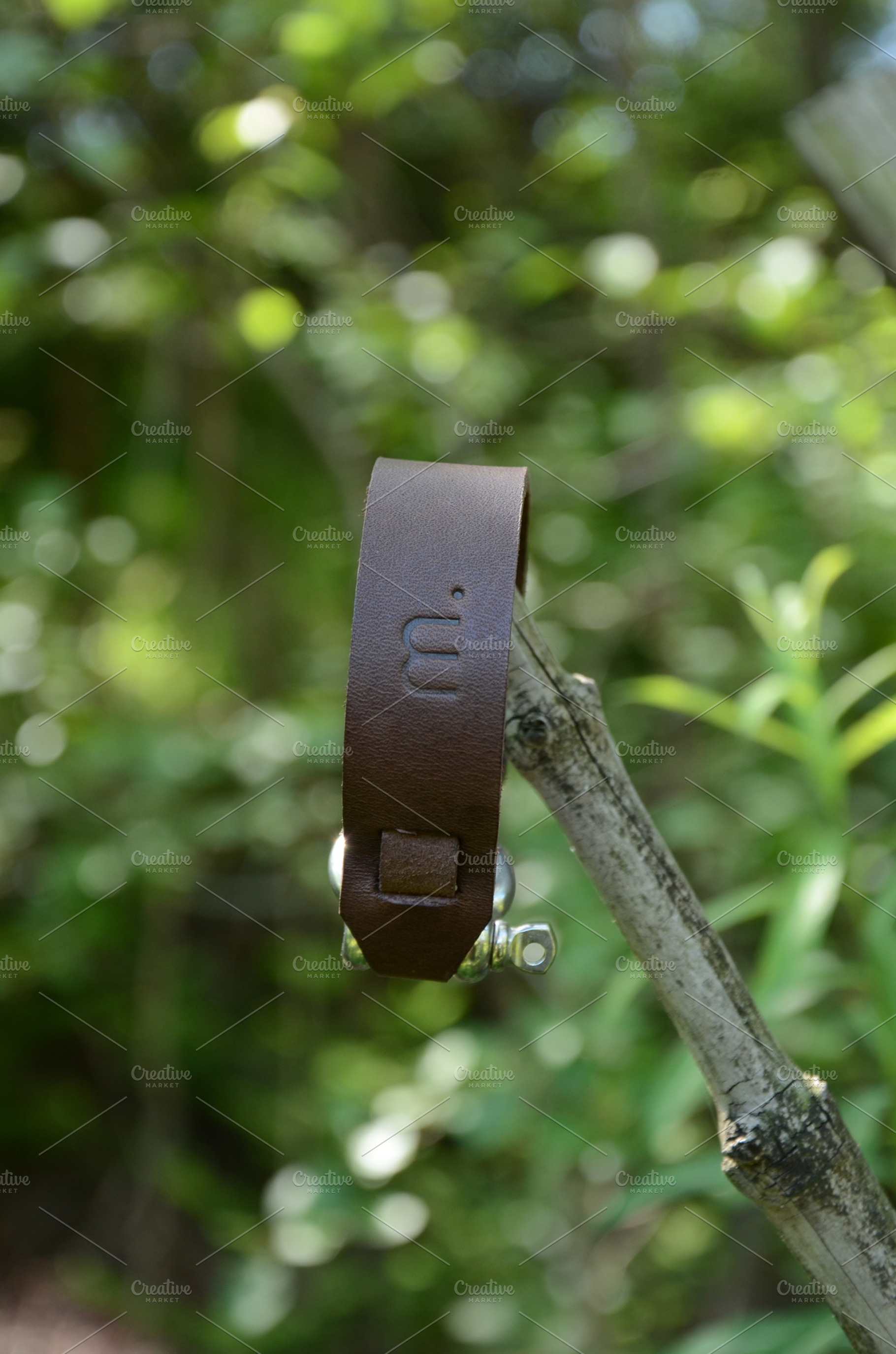 Brown leather bracelet on a branch stock photo containing leather and fashion