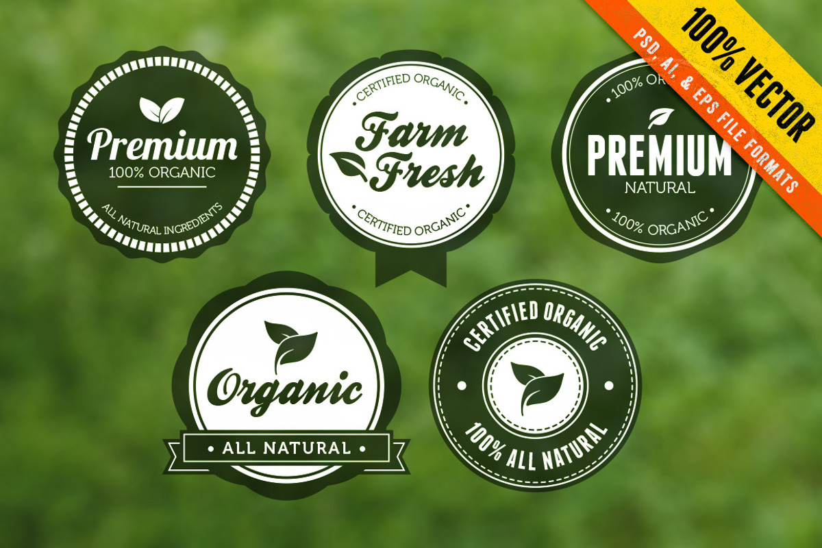 40% Off - Vintage Vector Badges Set preview 3