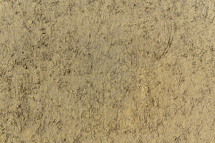 Texture of brown dry clay wall. Abstract background., an Abstract Photo by Eugene_Photo