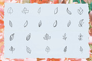 Bundle 62 Vector Botanical Elements, an Illustration by Mariia Kovalchuk (Thumbnail 3 of 4)