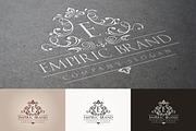Empiric Brand Logo, a Branding & Logo Template by BMACHINA Labs. (Thumbnail 3 of 3)