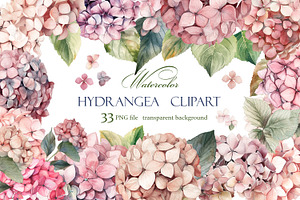 Hydrangea clipart, Watercolor floral