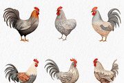 Watercolor chicken clipart, an Object Graphic by MyLittleMeow (Thumbnail 11 of 18)