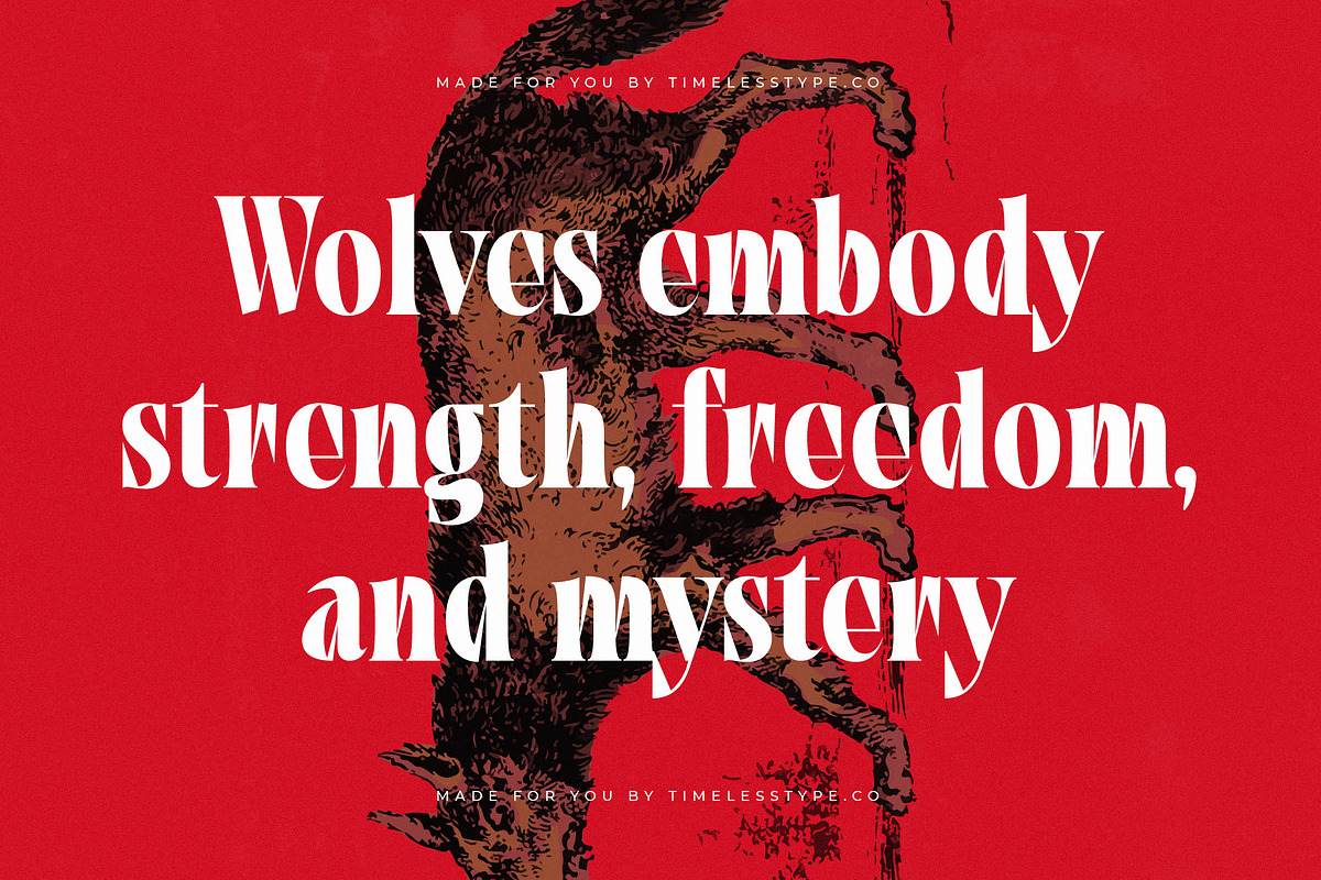 Tieldsa Bold Serif Display Font, a Serif Font by timelesstype.co (Photo 8 of 20)