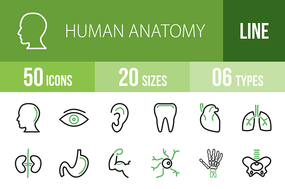 50 Human Anatomy Green Black Icons