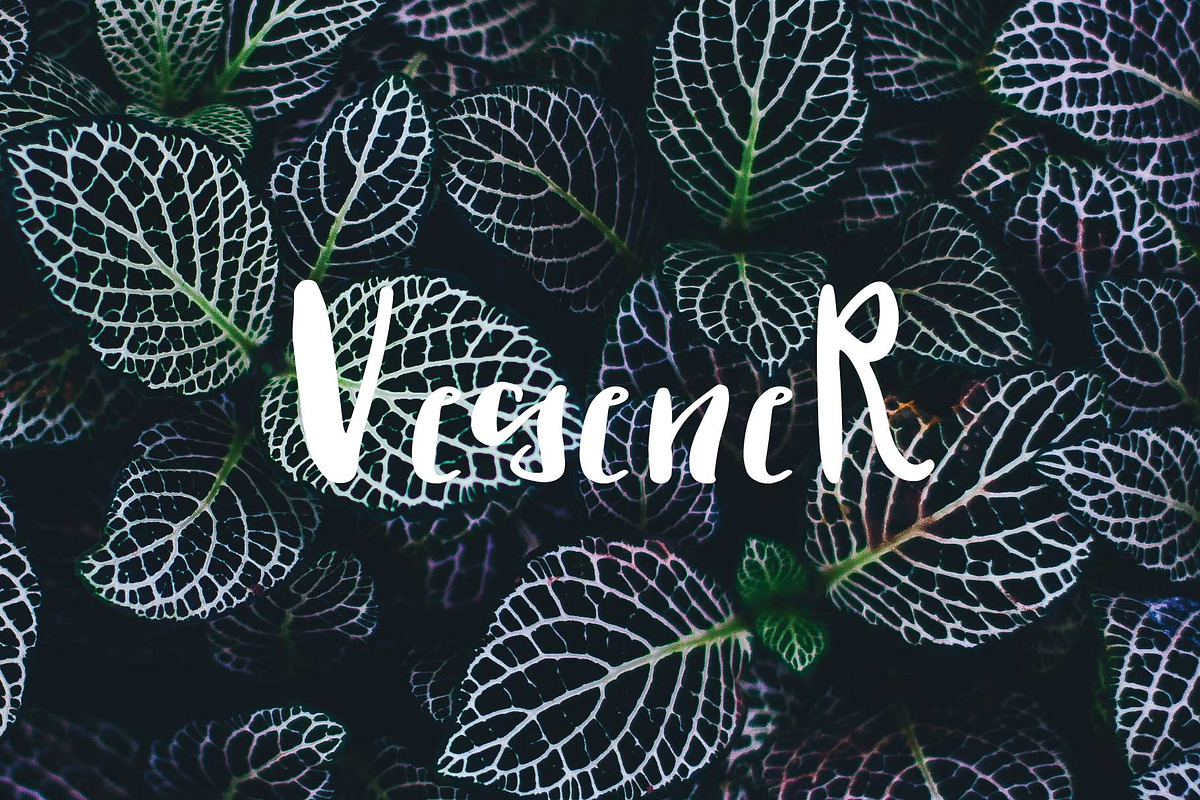 vegener font