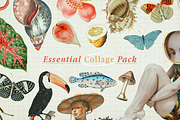 Essential Collage Pack, an Object Graphic by The Ephemera Mercadito (Thumbnail 1 of 2)