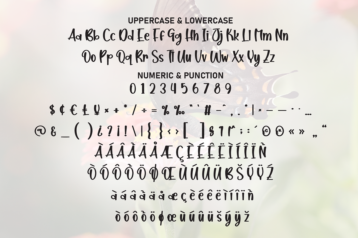 Butterfly Joyful | Script Font, a Handwritten Font by Scratchones (Photo 7 of 8)