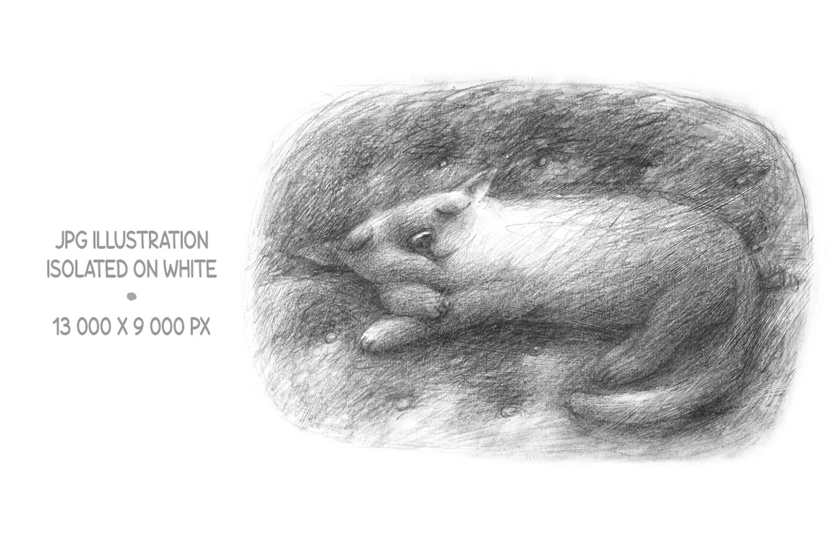 Cute Animals Collection, an Animal Illustration by Mazheika Store (Photo 9 of 9)