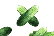Cucumber watercolor illustrations, a Food Illustration by wedraw (Thumbnail 2 of 4)