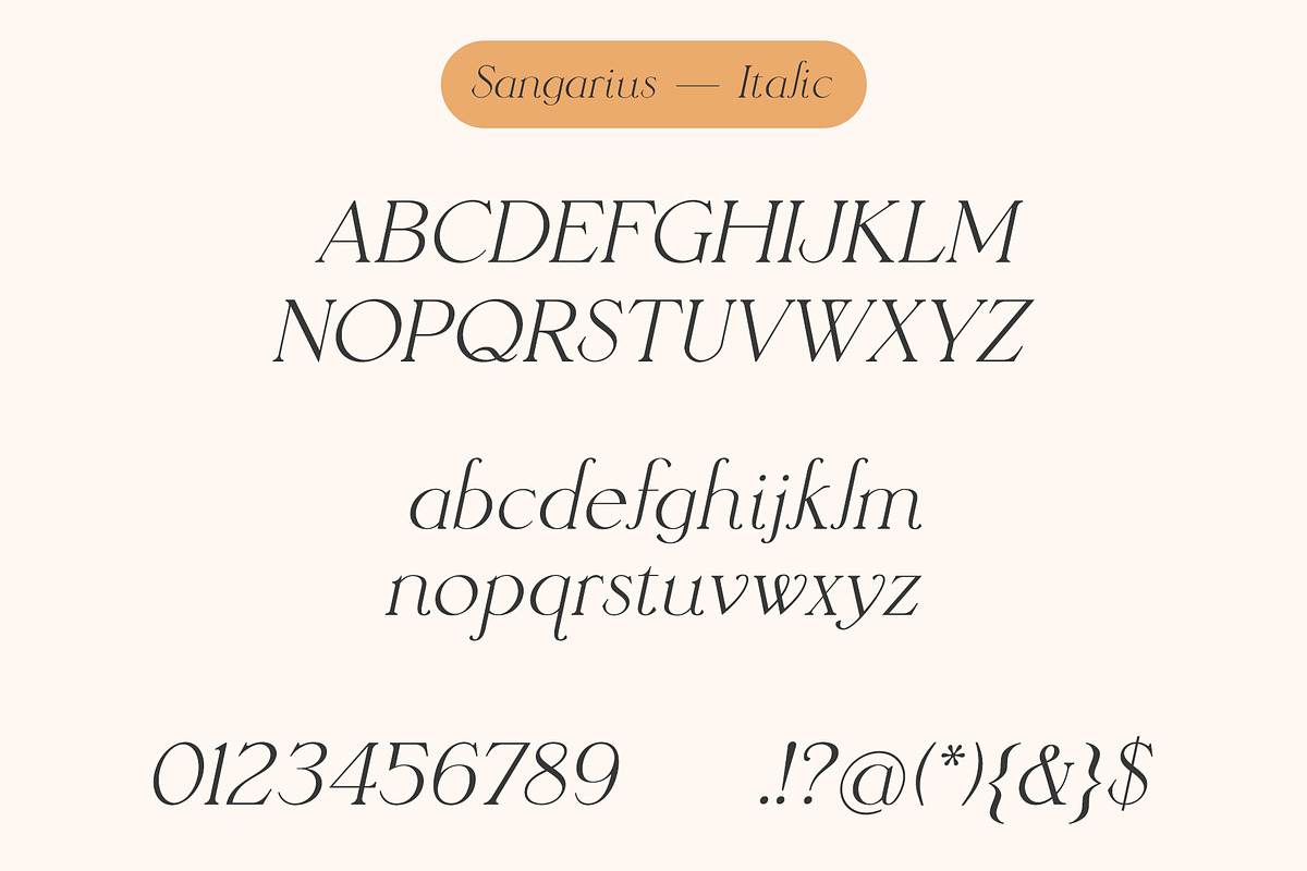 Sangarius // A Chic Serif Typeface, a Serif Font by Megs Lang (Photo 15 of 15)