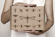 Vintage Bundle 2500+ Free Update, an Animal Illustration by Retro Machine (Thumbnail 129 of 170)
