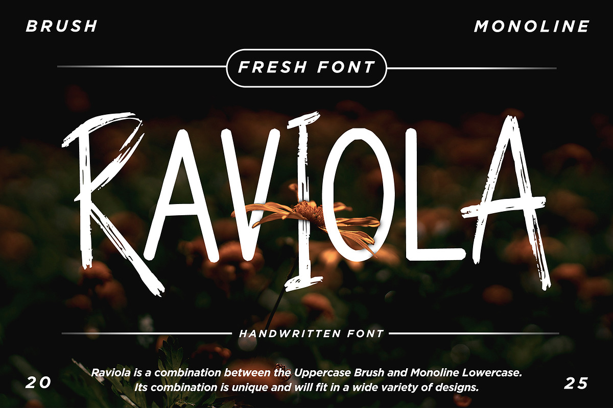 Raviola – A Handwritten Brush Font, a Handwritten Font by Dm Studio (Photo 1 of 8)