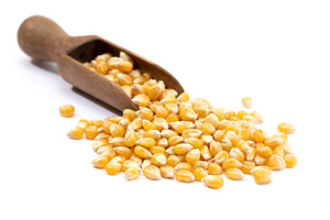 Corn kernel isolated on white