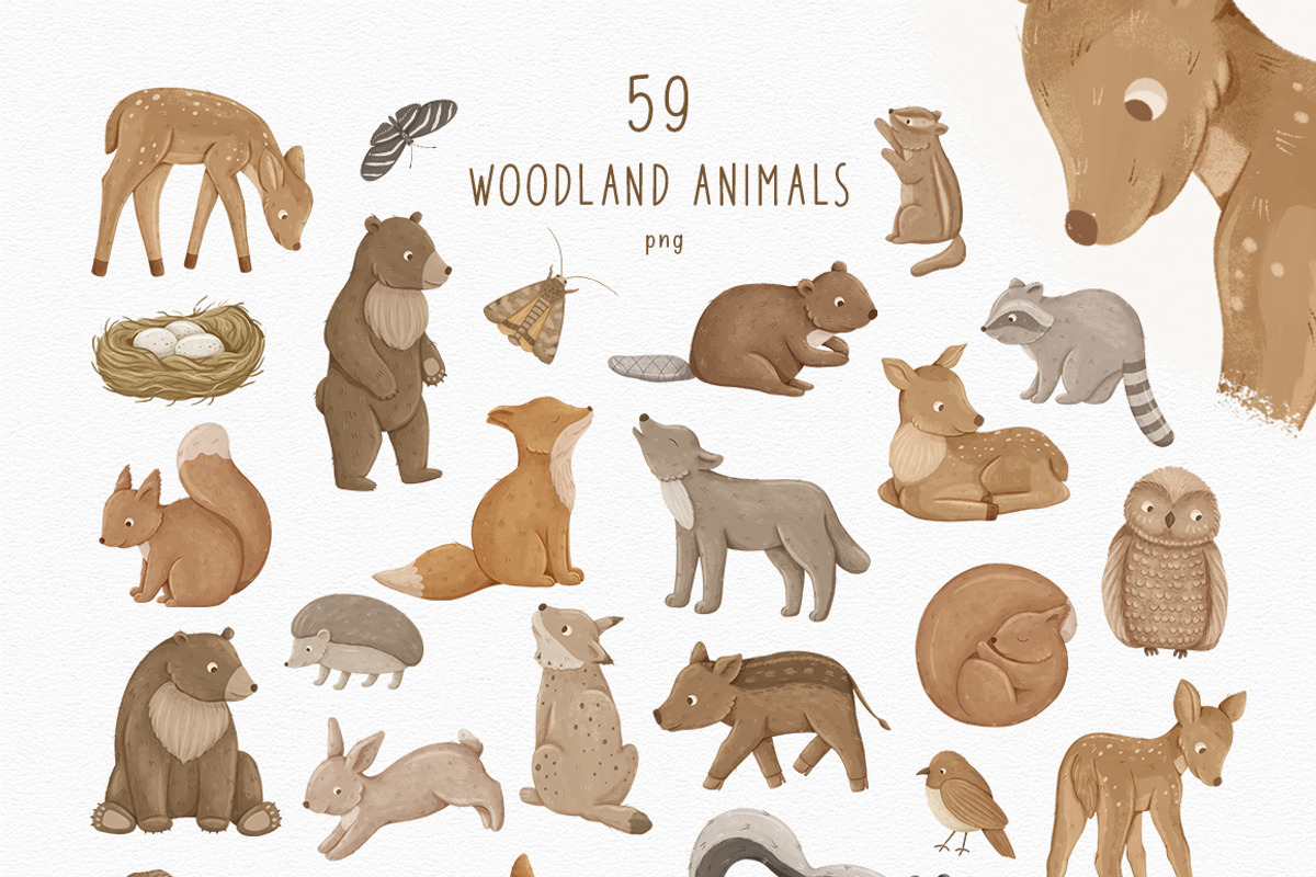 Woodland animals. Alphabet & Pattern, an Animal Illustration by polikarpovaart (Photo 10 of 12)