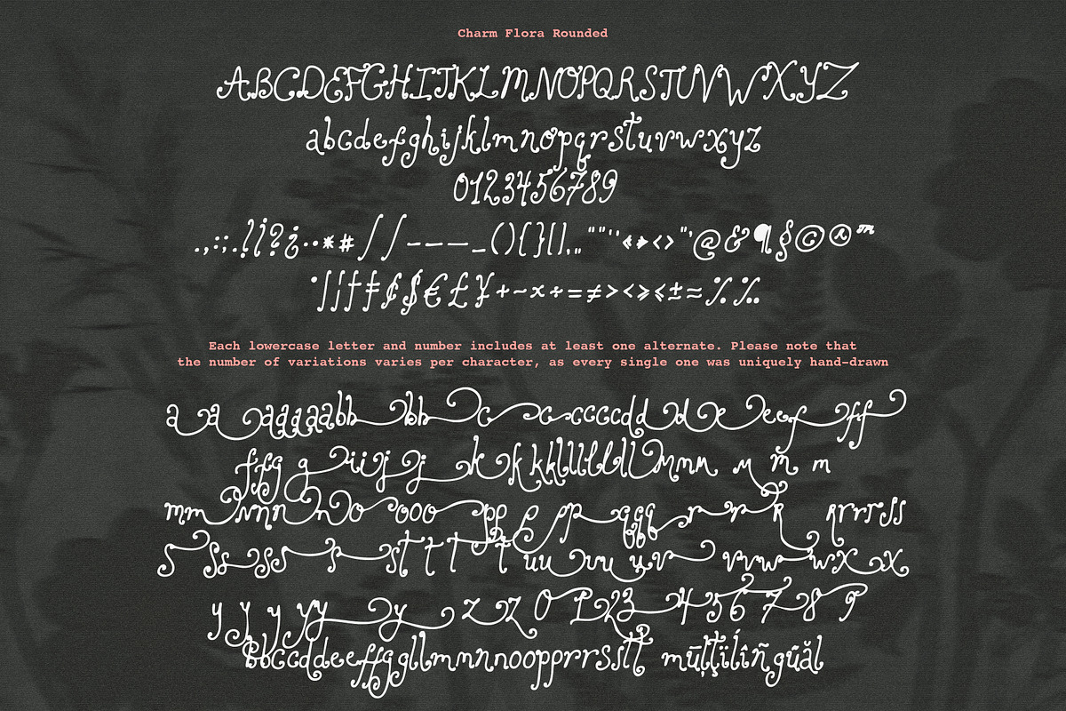 Charm Flora// Curly Font Set, a Handwritten Font by PeachCreme (Photo 14 of 18)