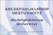 Bricksram - Modern Geometric Sans, a Sans Serif Font by Parker Creative (Thumbnail 5 of 6)
