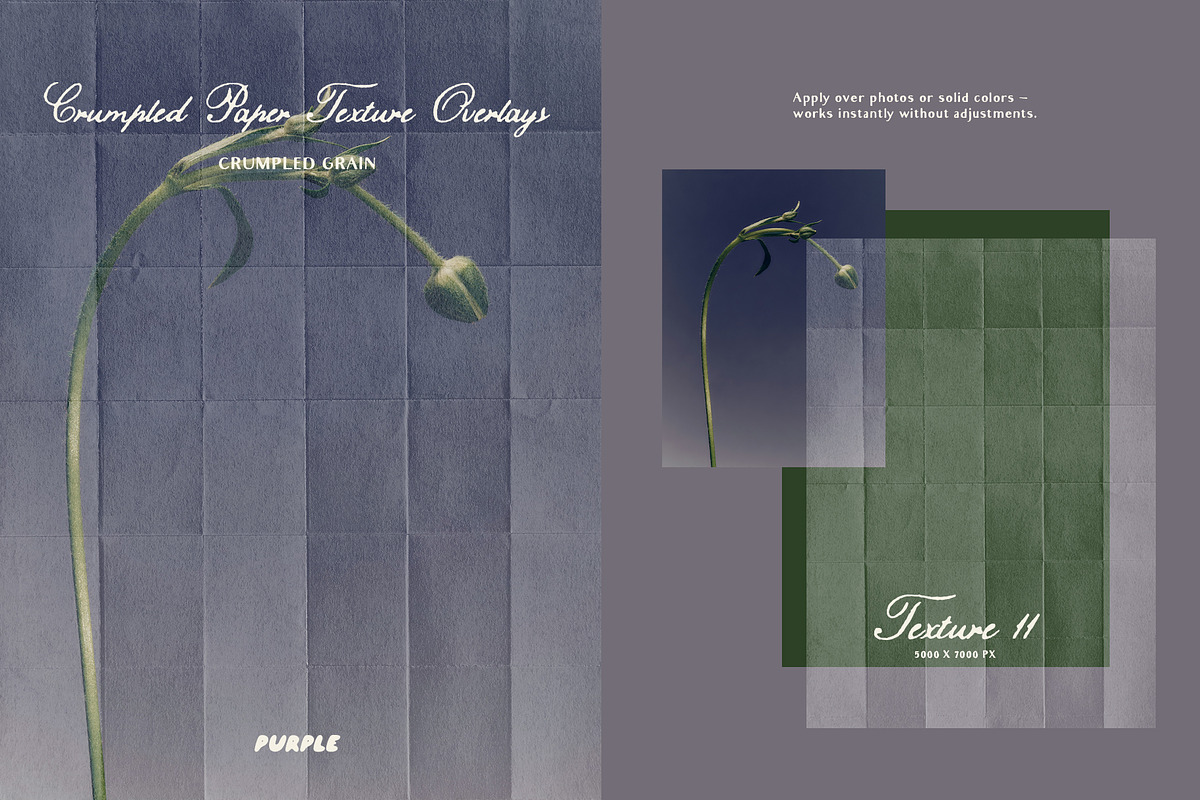 Crumpled Paper Texture Overlays, a Texture Graphic by Purple (Photo 10 of 17)