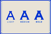 Pilgrim Font Collection Bundle, a Serif Font by PLGRM (Thumbnail 5 of 13)
