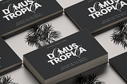 Armonia - Creative Font Duo, a Serif Font by VP Fonts (Thumbnail 19 of 20)