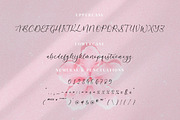 Azelly Vellyne, a Script Font by Integritype Studio (Thumbnail 9 of 15)