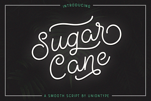 Sugar Cane