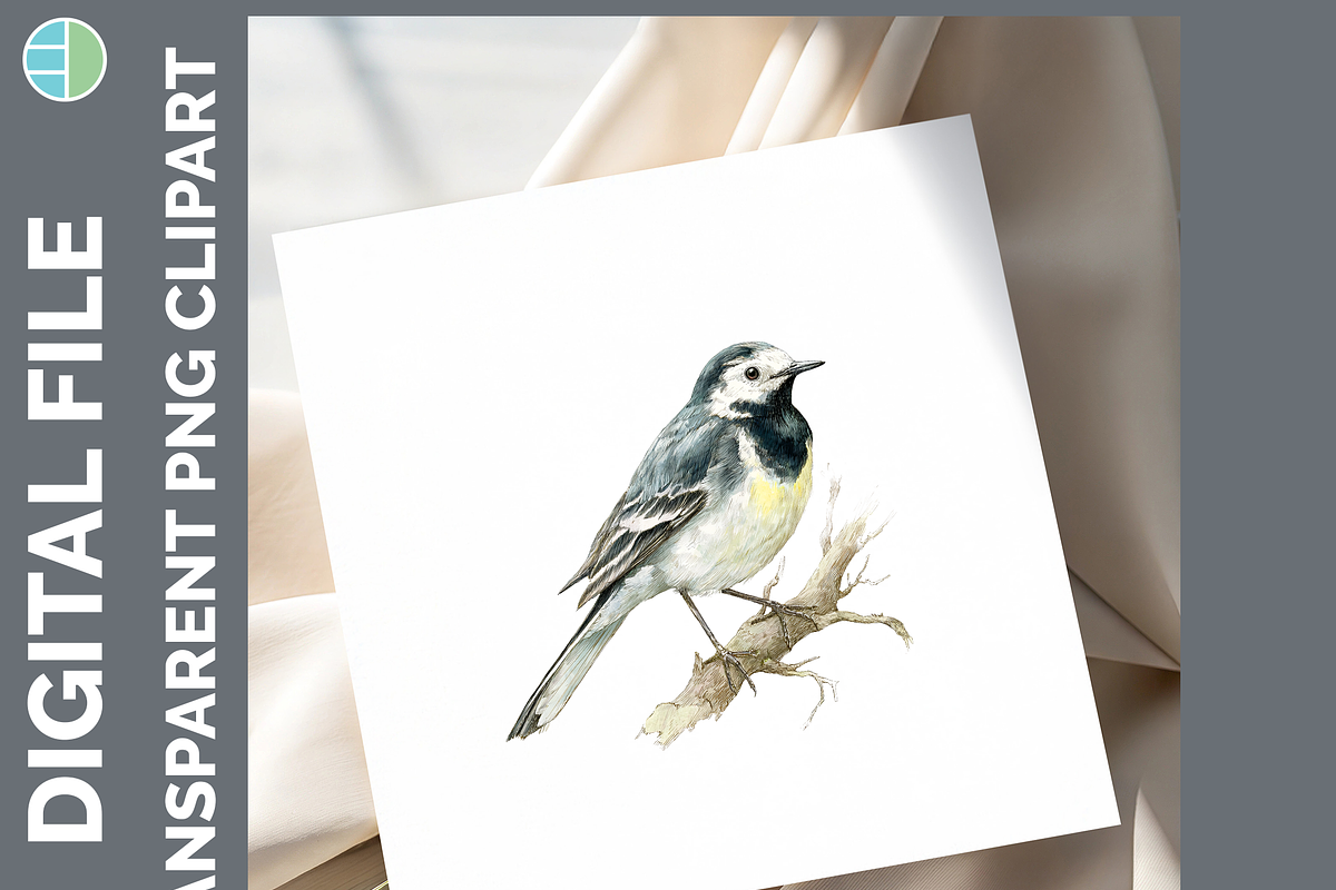 Bird Illustration Bundle, 21 PNG, an Animal Illustration by Enliven Designs (Photo 8 of 8)