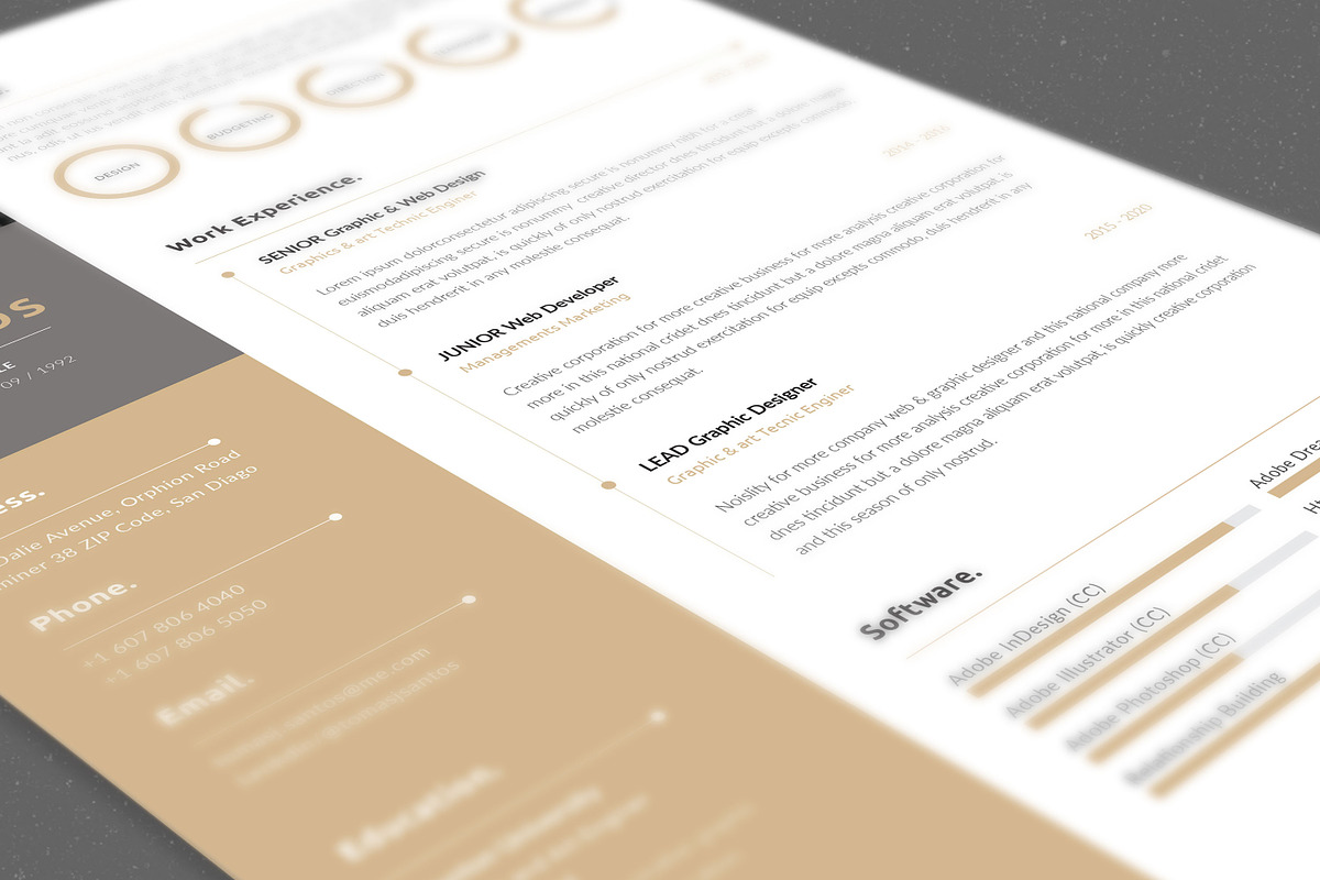 Resume/CV, a Resume Template by UX-group (Photo 3 of 7)