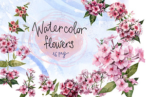 Watercolor flowers set (Phlox)