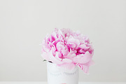 Lady Peony Mini-Bundle, a Beauty & Fashion Photo by Light & Grace (Thumbnail 6 of 6)