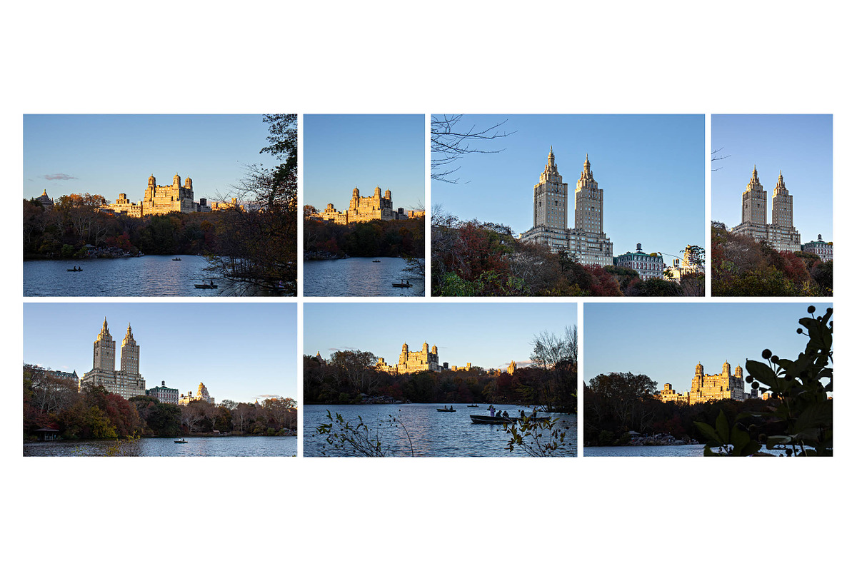 Central Park, NYC, Fall 2023 Photos, a Nature Photo by Full Circle Design Studio (Photo 2 of 4)