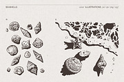 Summer Vacation Beach Collection, a Seasonal Illustration by TheMountBirdStudio (Thumbnail 19 of 21)